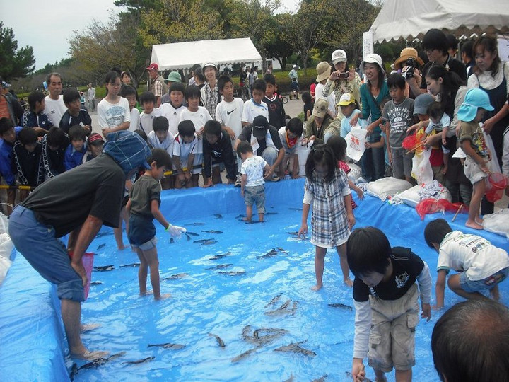 21041012tukamidori_2