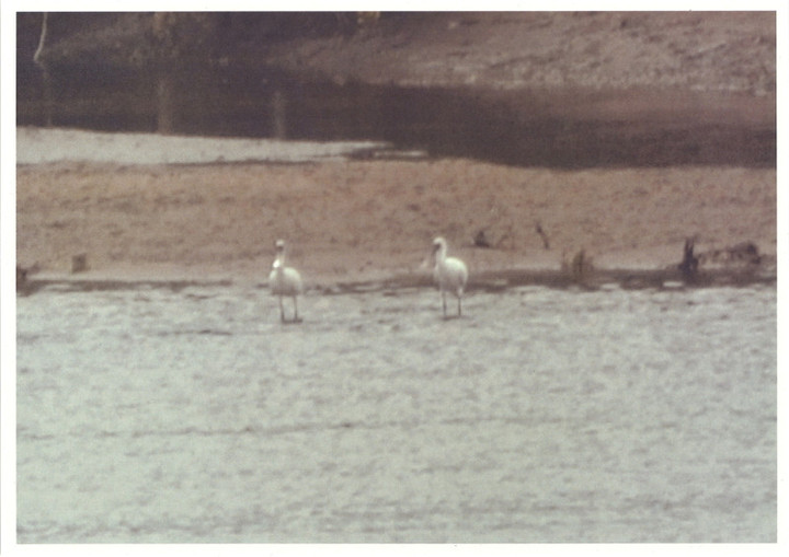 20140624135203_00001